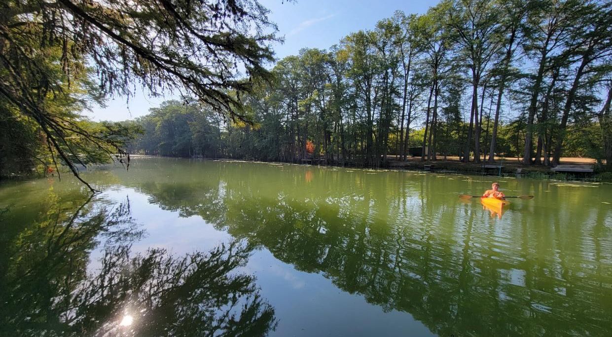 Kayaker on the calm, green Guadalupe River lined with cypress trees